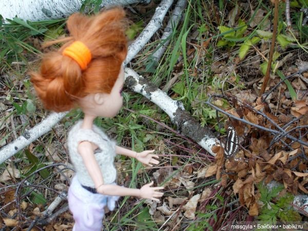 Лето цветочное, вишнёвое, берёзовое