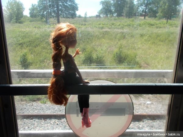 Лето цветочное, вишнёвое, берёзовое (фото 6)