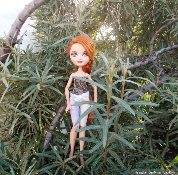 Лето цветочное, вишнёвое, берёзовое