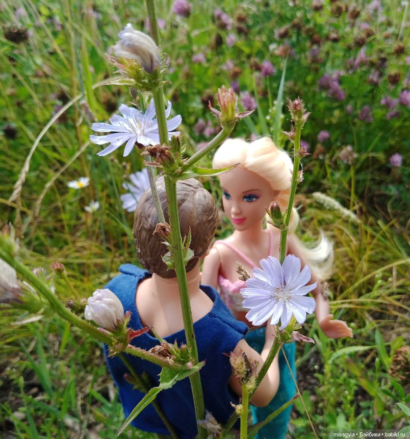 Летние страдания. Ромео — Куклы Barbie (Барби): Looks (фото 3)