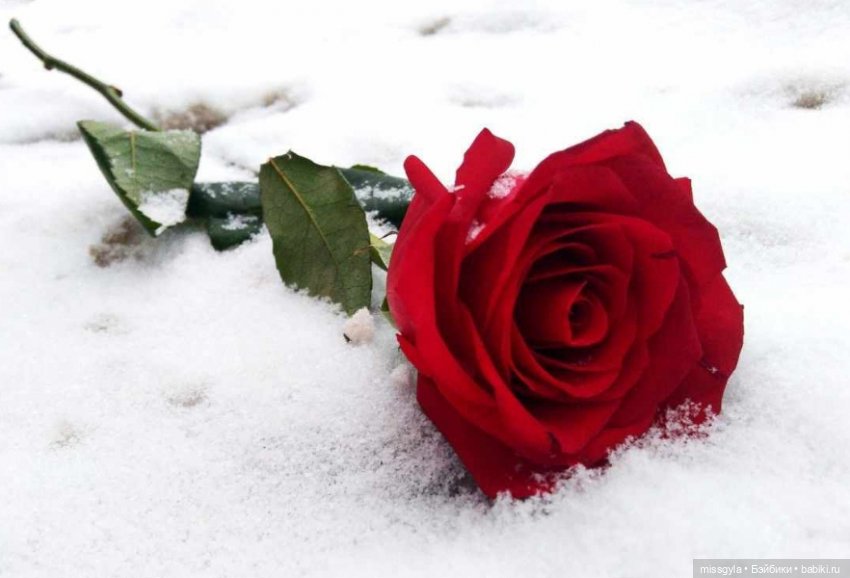 О, спорт, ты ...😘 — Аналоги Барби и куклы 1/6: клоны 90