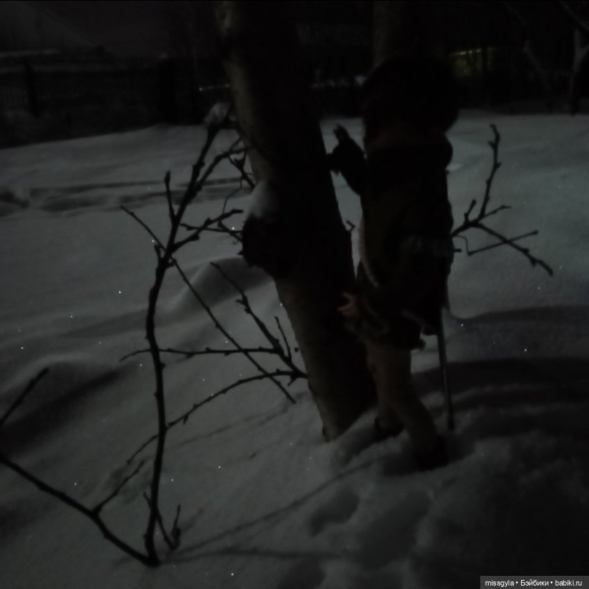 Хантер и Шарлин Зима — Куклы Monster High и Ever After High: G1