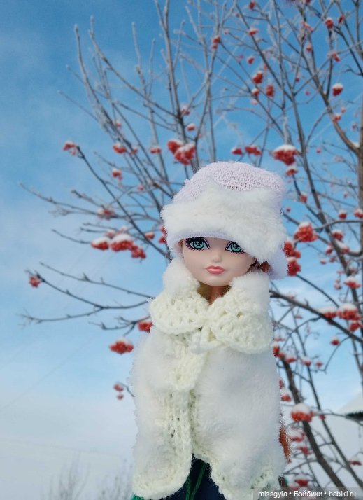 Хантер и Шарлин Зима — Куклы Monster High и Ever After High: G1