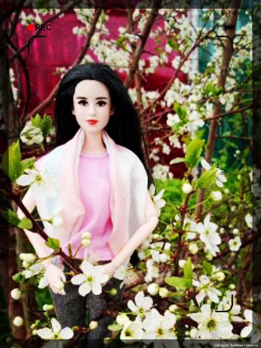 Ким и Аяна. В поисках дзена