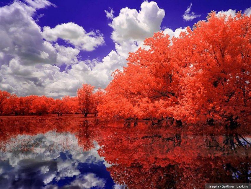 Фоточетверг. Красное и белое