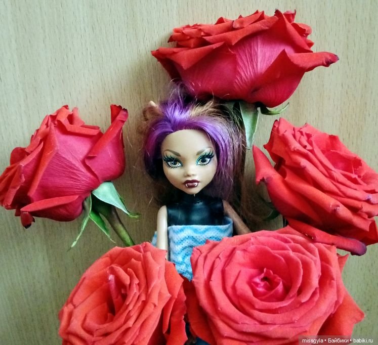 Новая жизнь Клодин — Куклы Monster High и Ever After High: G1 (фото 4)