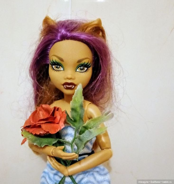 Новая жизнь Клодин — Куклы Monster High и Ever After High: G1 (фото 10)