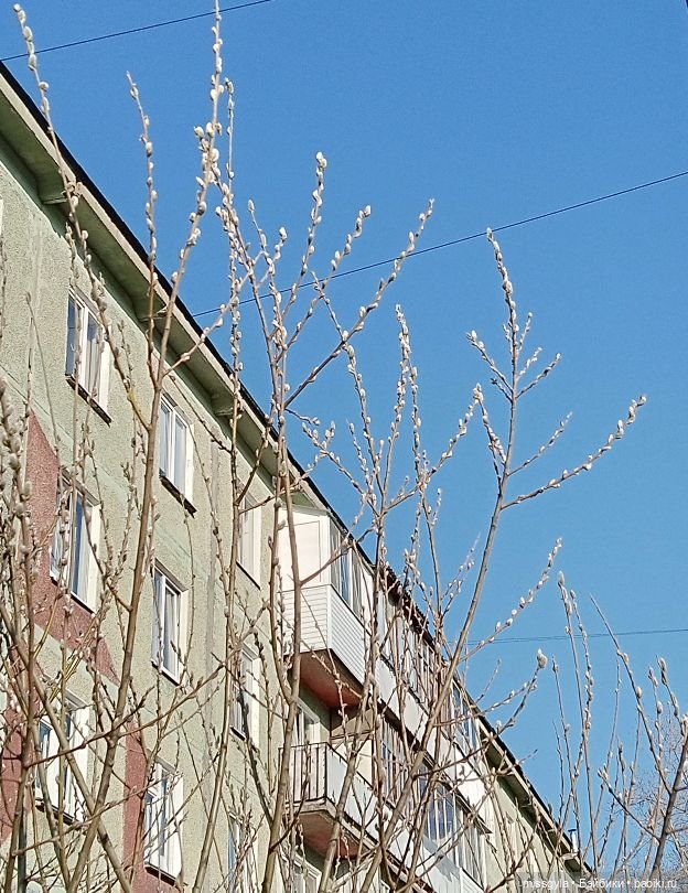 А что у нас? Коротко о разном