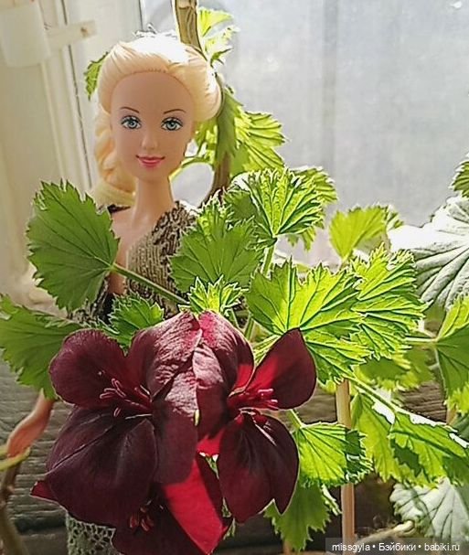 А что у нас? Коротко о разном