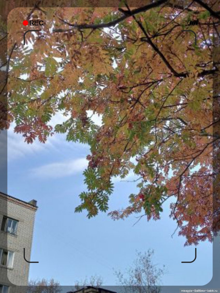 Фоточетверг. Я рисую, снова я рисую