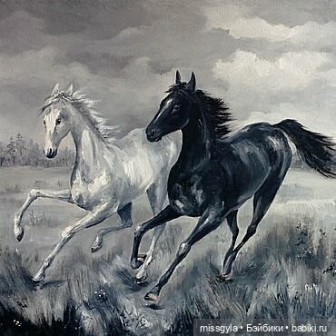 ФотоЧетверг. И в сером есть своя красота ...🖤🤍 (фото 3)