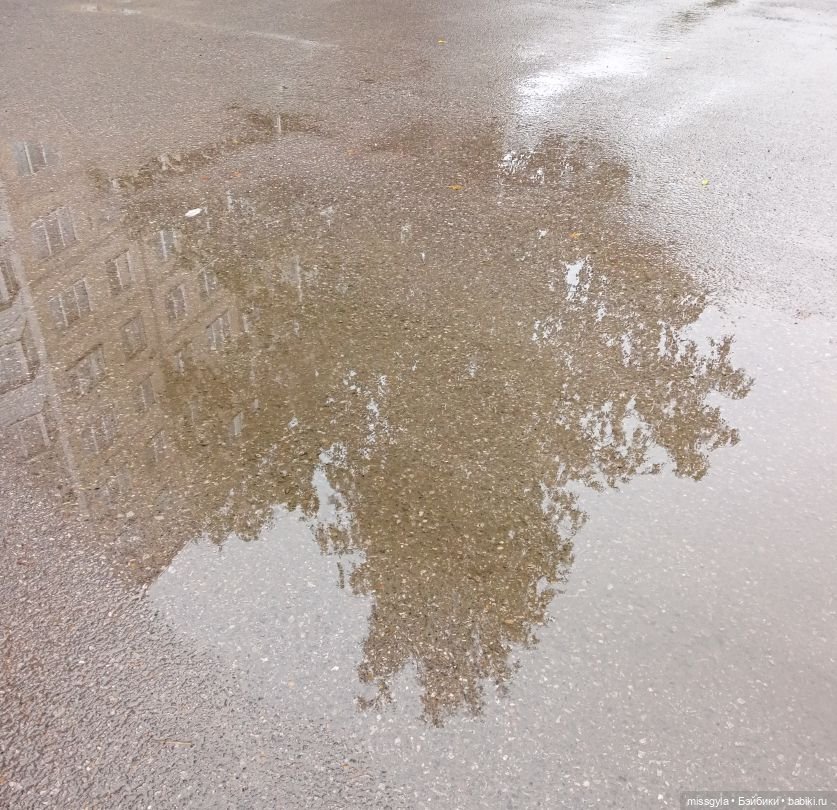 ФотоЧетверг. И в сером есть своя красота ...🖤🤍