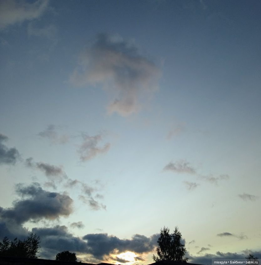 ФотоЧетверг. И в сером есть своя красота ...🖤🤍