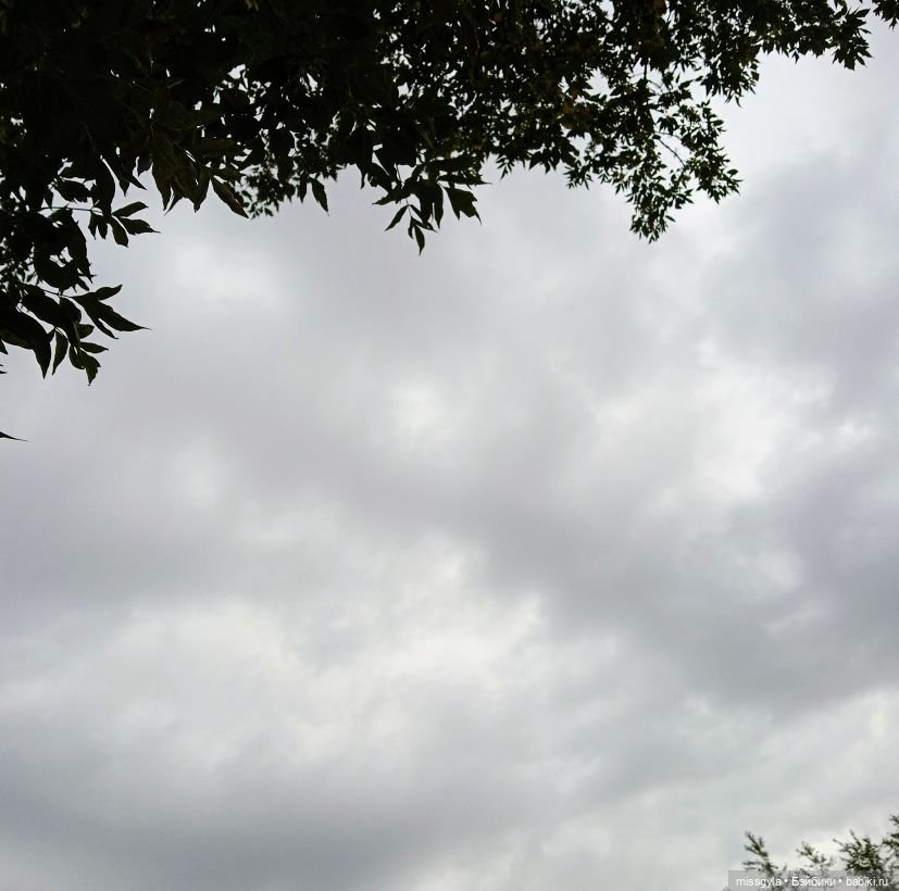 ФотоЧетверг. И в сером есть своя красота ...🖤🤍 (фото 2)