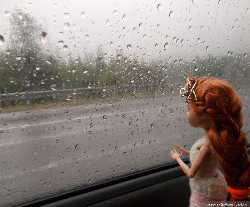 ФотоЧетверг. И в сером есть своя красота ...🖤🤍