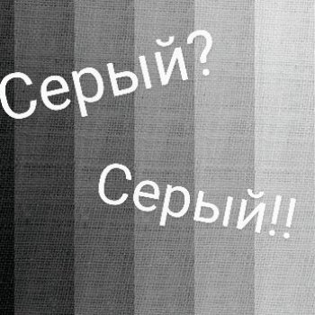 ФотоЧетверг. И в сером есть своя красота ...🖤🤍