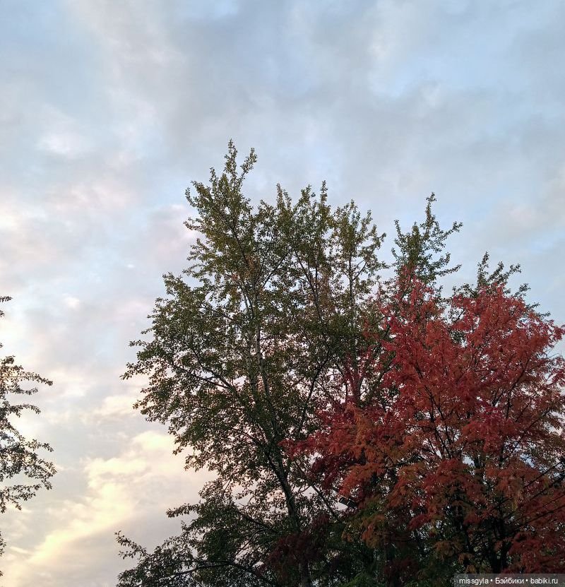 Прогулки. Ник и Симона 🍂🍃 | Бэйбики Прогулки. Ник и Симона 🍂🍃