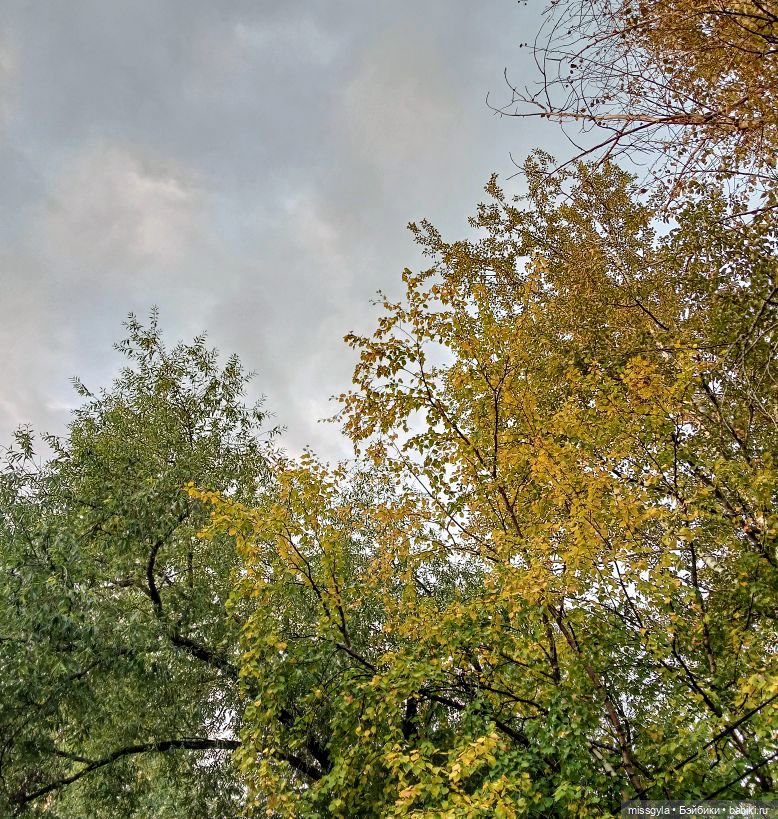 Прогулки. Ник и Симона 🍂🍃 | Бэйбики Прогулки. Ник и Симона 🍂🍃 (фото 8)