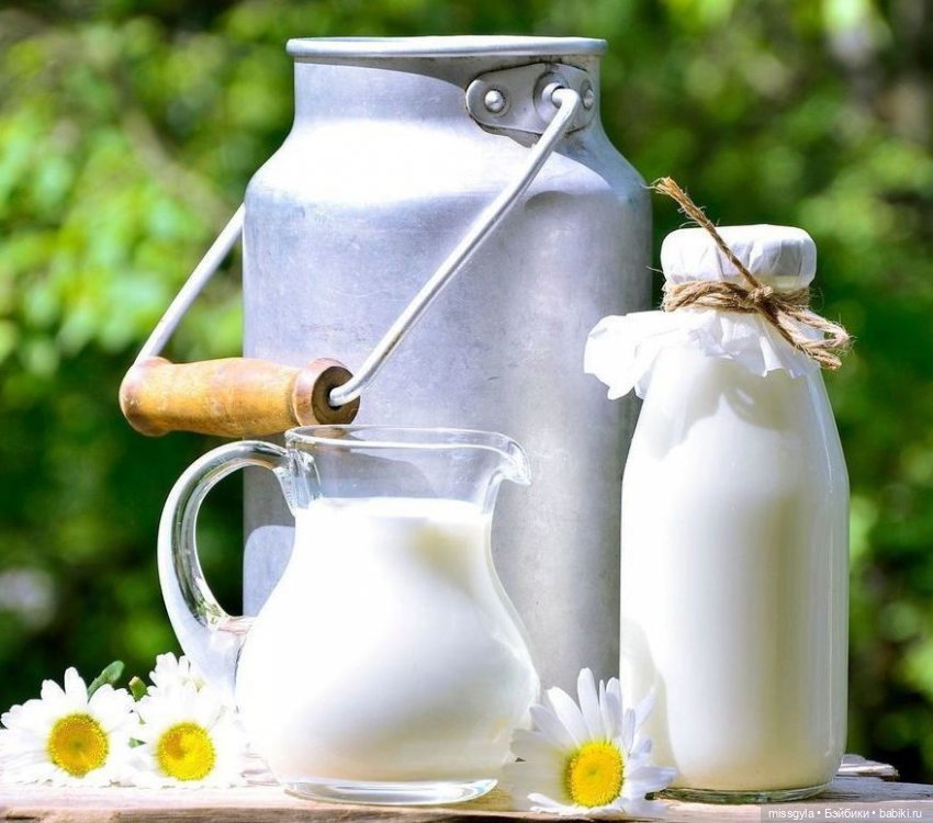 ФотоЧетверг. День молока🥛 (фото 3)