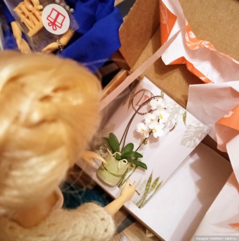 Наш подарок (МузФест- 23)