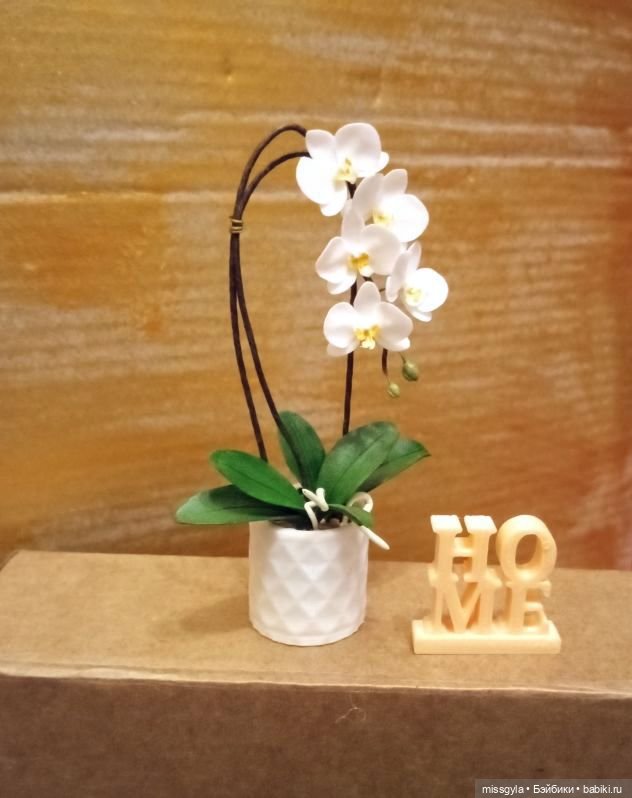 Наш подарок (МузФест- 23)