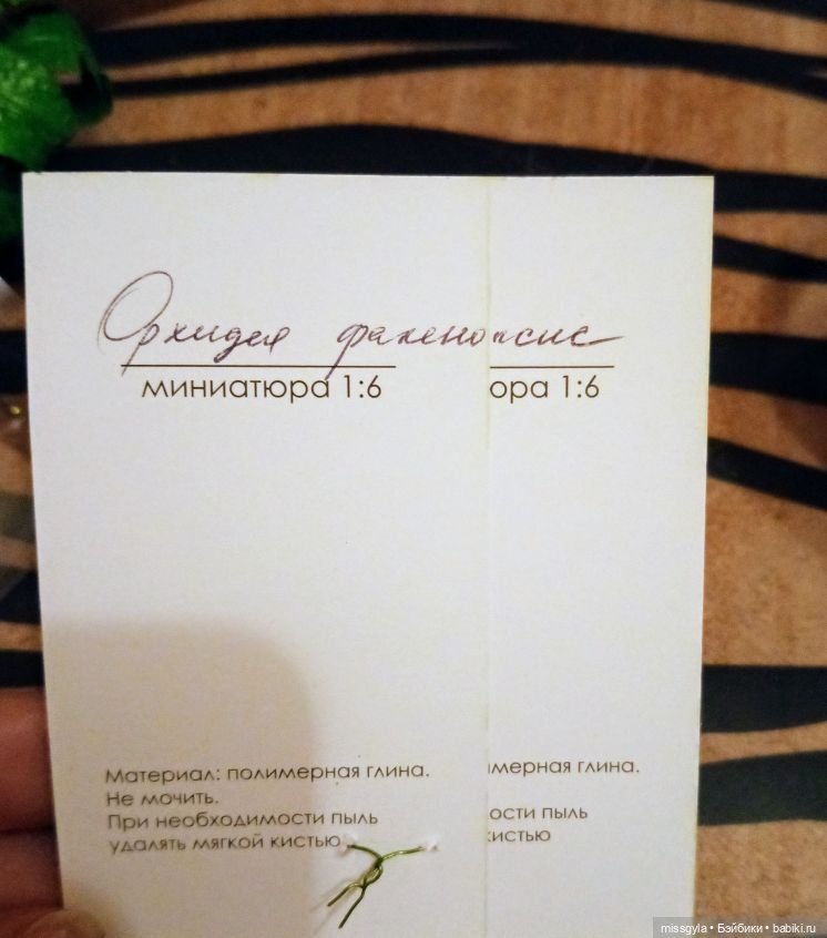 Наш подарок (МузФест- 23)