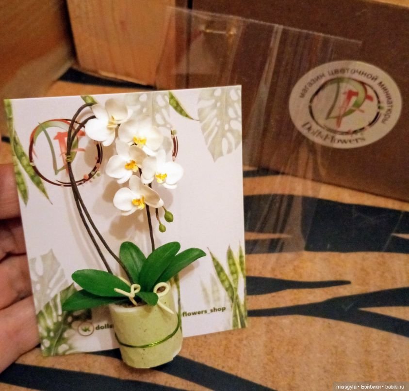 Наш подарок (МузФест- 23)