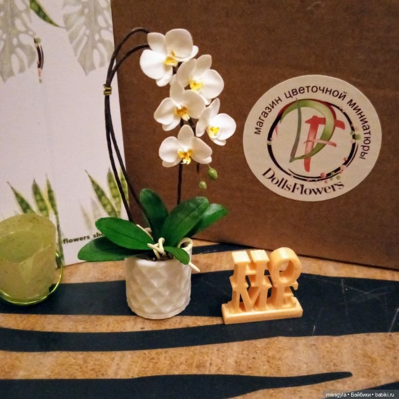 Наш подарок (МузФест- 23)