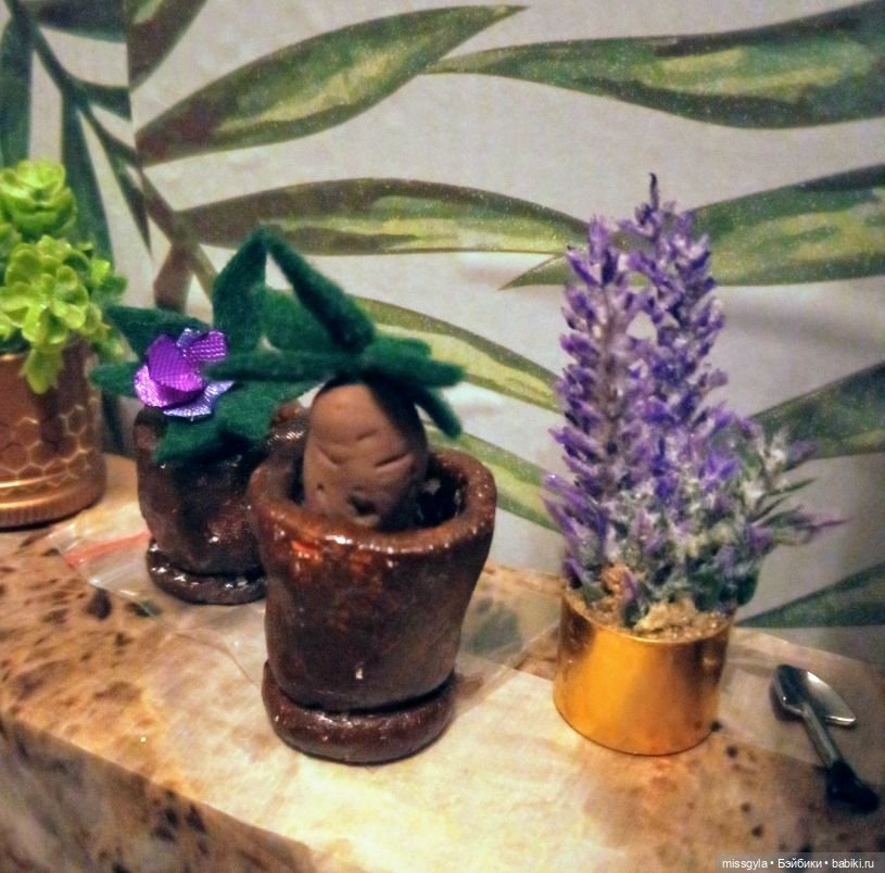 Урок травологии и... пения мандрагор 🌿