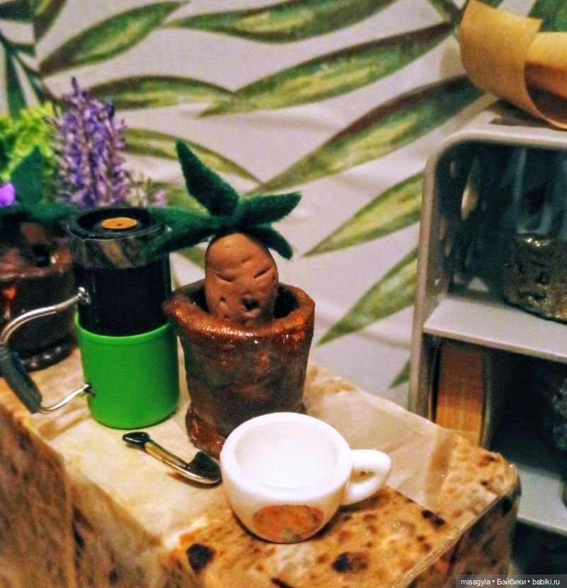 Урок травологии и... пения мандрагор 🌿