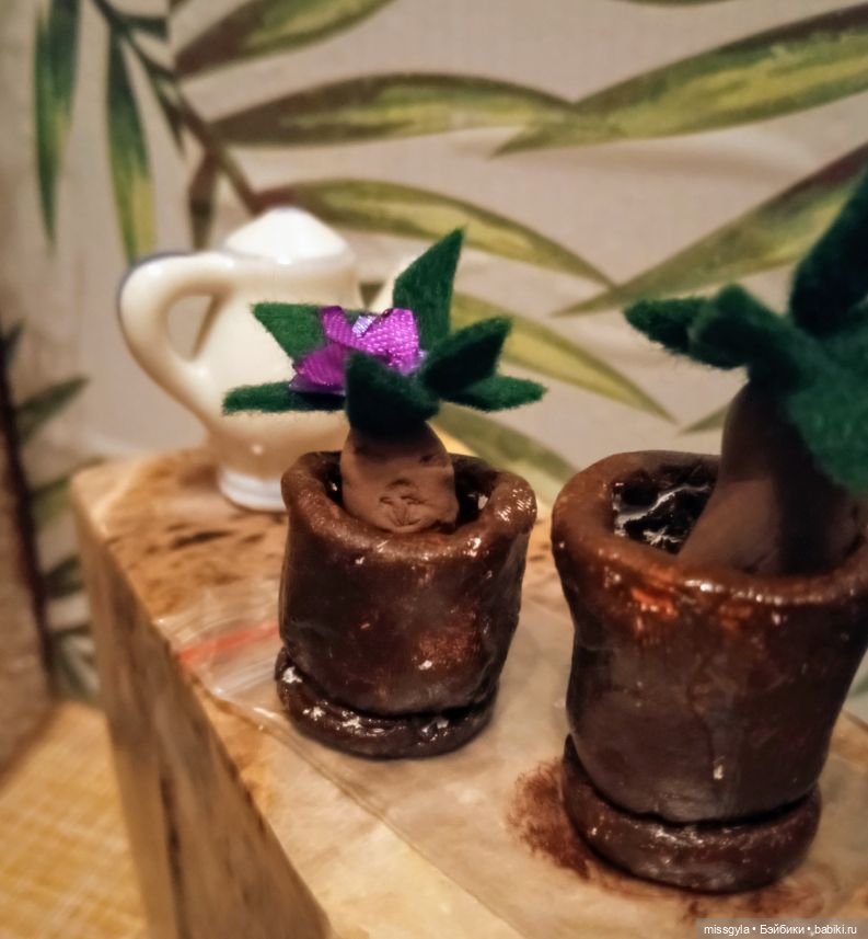 Урок травологии и... пения мандрагор 🌿