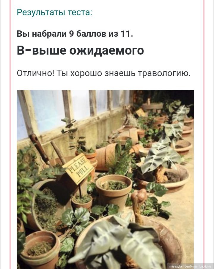 Урок травологии и... пения мандрагор 🌿