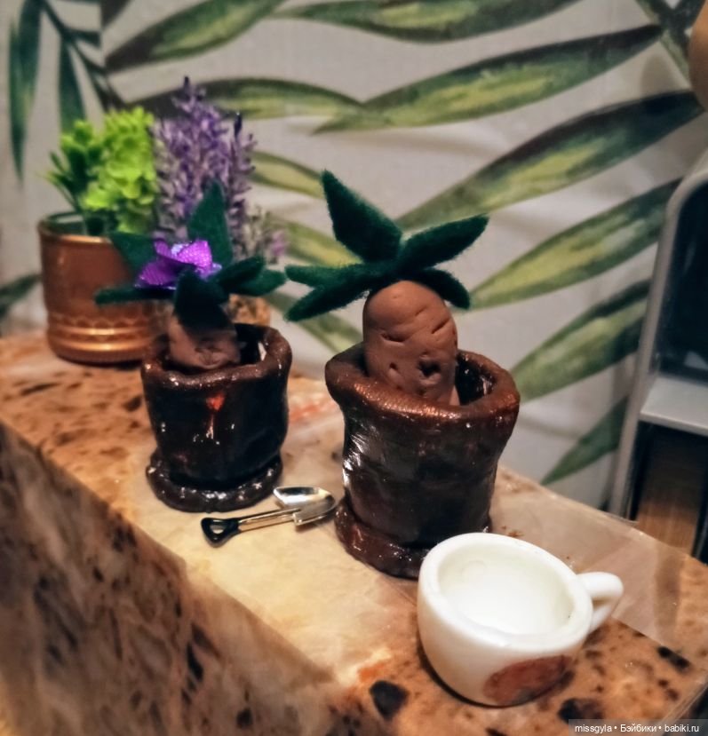 Урок травологии и... пения мандрагор 🌿