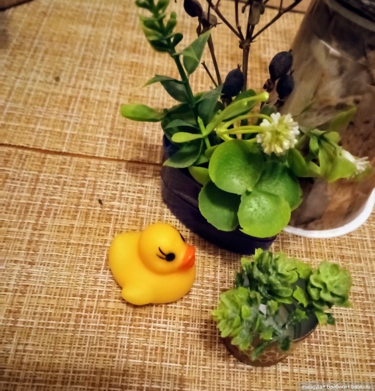 Урок травологии и... пения мандрагор 🌿