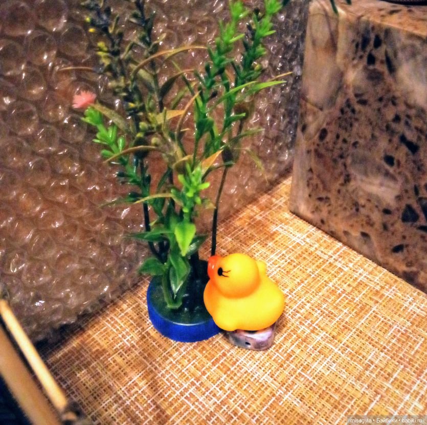 Урок травологии и... пения мандрагор 🌿