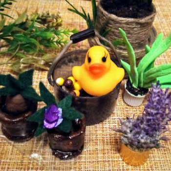 Урок травологии и... пения мандрагор 🌿