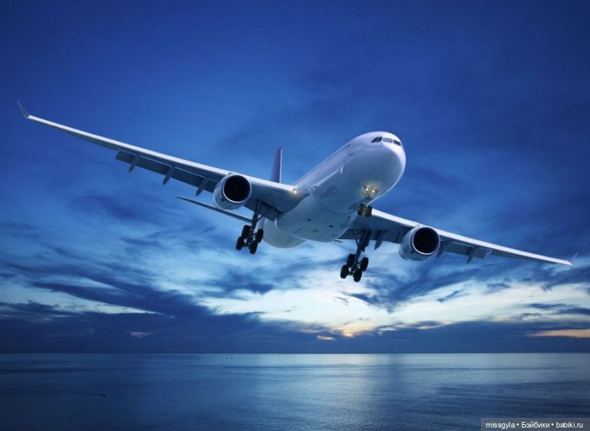 Венеция. Открытие фестиваля 🎉🎉 (фото 3)