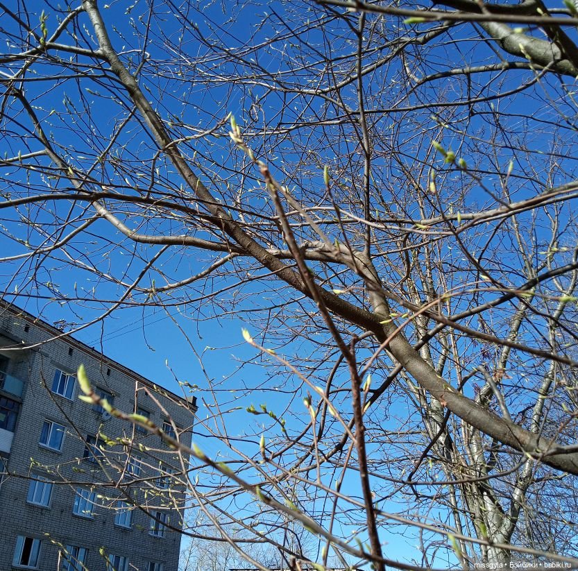 Весна, апрель