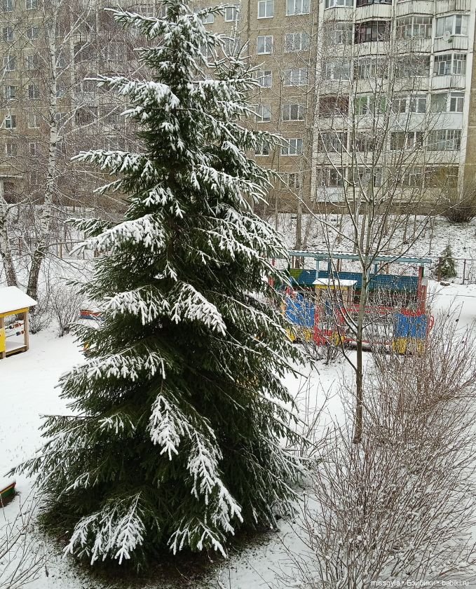 А что у нас? Майские хлопоты