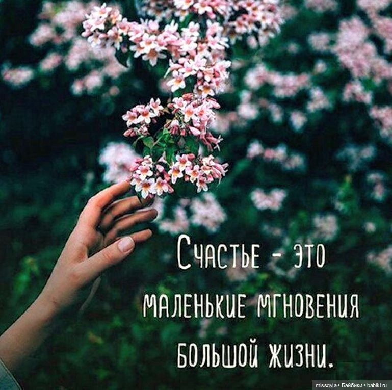 Международный День Семьи — Коллекции игровых кукол (Playline): фото полок