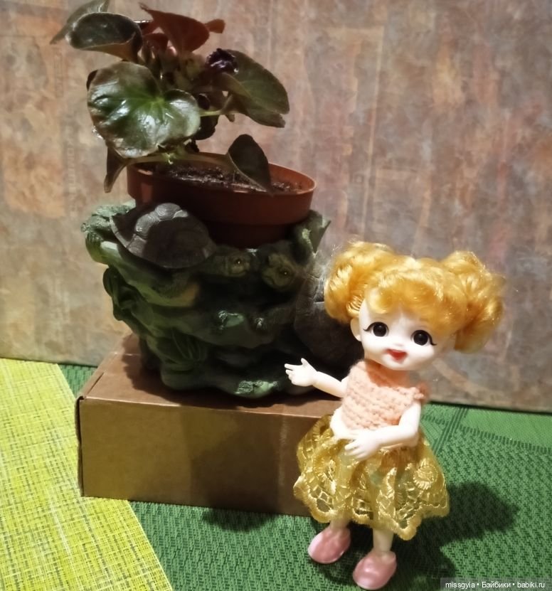 ФотоЧетверг. Удивительный мир черепах