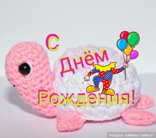 ФотоЧетверг. Удивительный мир черепах