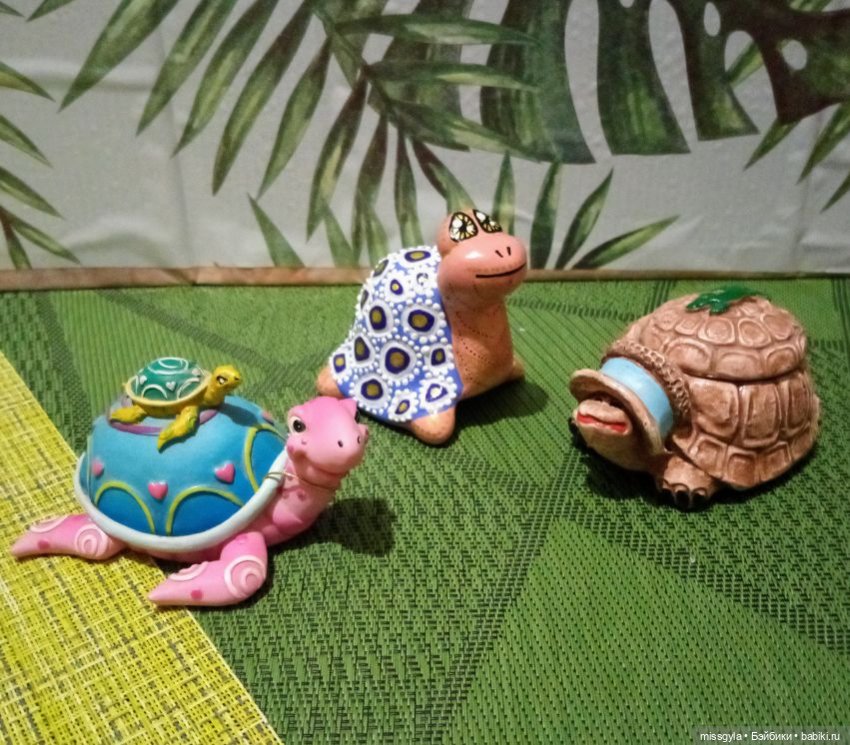 ФотоЧетверг. Удивительный мир черепах