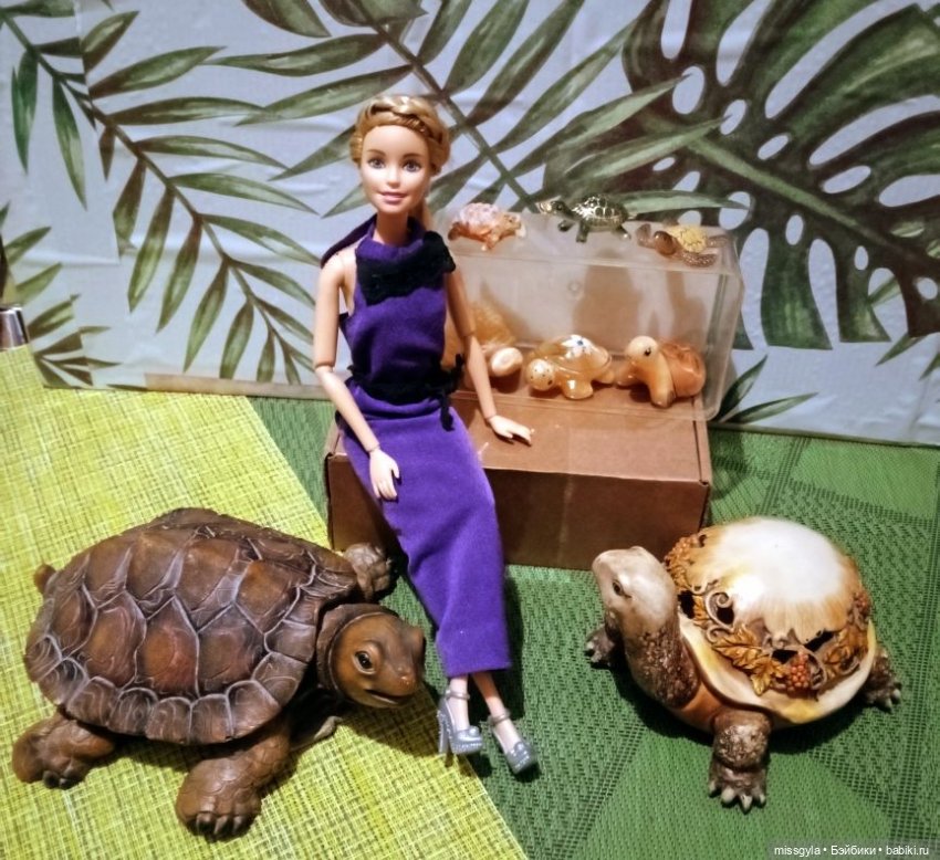 ФотоЧетверг. Удивительный мир черепах