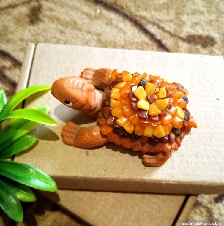 ФотоЧетверг. Удивительный мир черепах