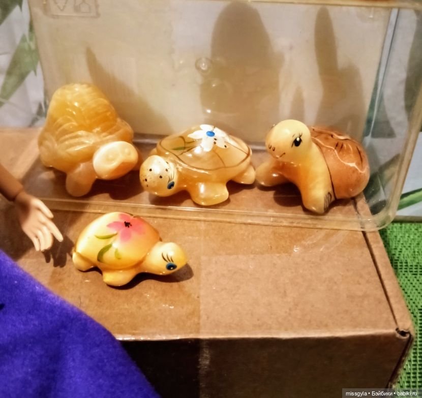 ФотоЧетверг. Удивительный мир черепах