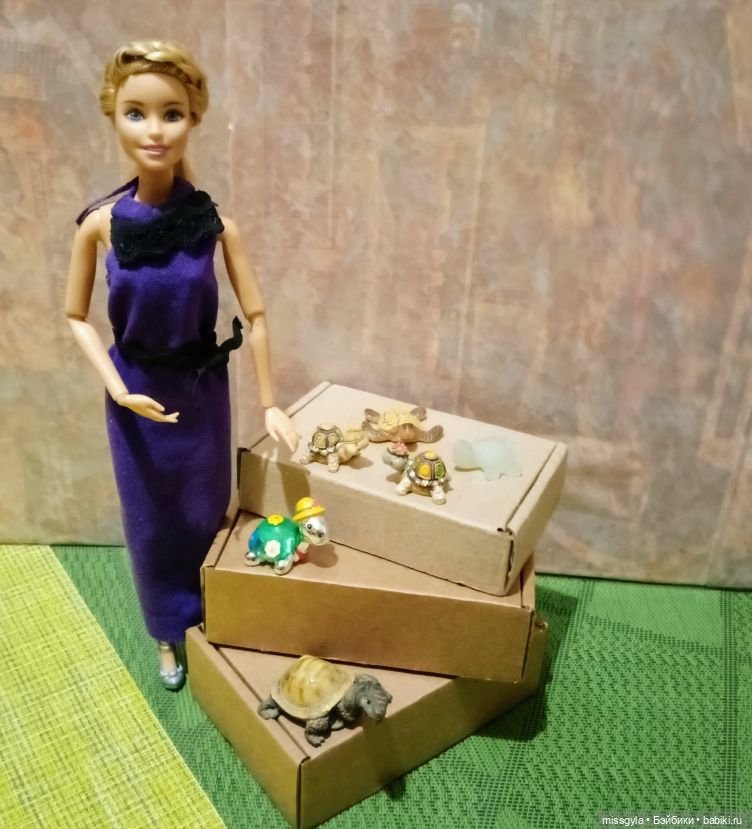 ФотоЧетверг. Удивительный мир черепах