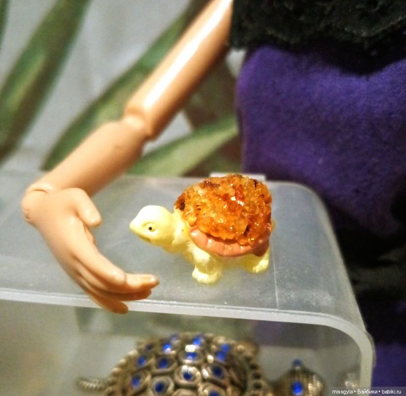 ФотоЧетверг. Удивительный мир черепах