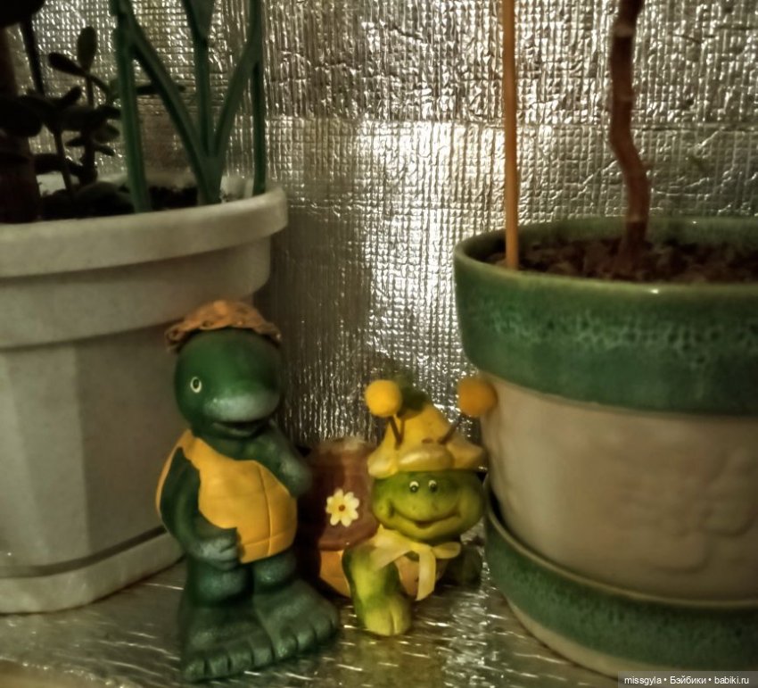 ФотоЧетверг. Удивительный мир черепах