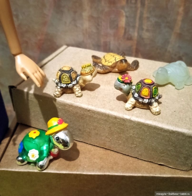 ФотоЧетверг. Удивительный мир черепах